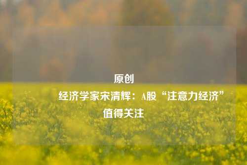 原创 经济学家宋清辉：A股“注意力经济”值得关注