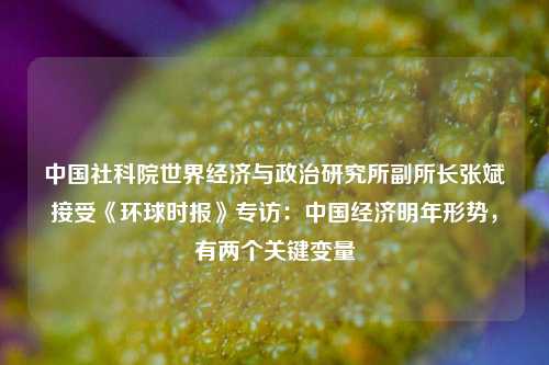 中国社科院世界经济与政治研究所副所长张斌接受《环球时报》专访：中国经济明年形势，有两个关键变量