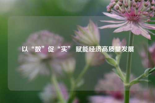 以“数”促“实” 赋能经济高质量发展
