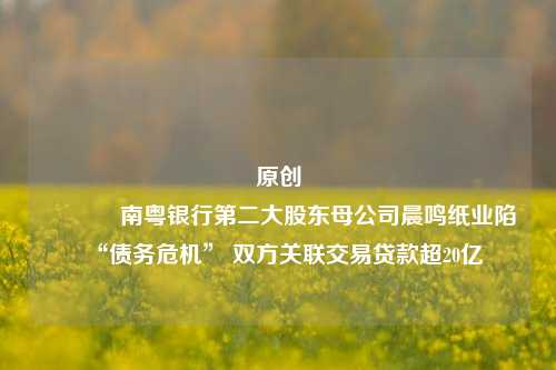 原创 南粤银行第二大股东母公司晨鸣纸业陷“债务危机” 双方关联交易贷款超20亿