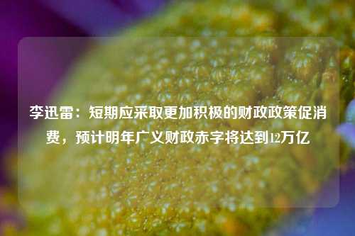 李迅雷：短期应采取更加积极的财政政策促消费，预计明年广义财政赤字将达到12万亿