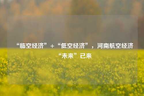 “临空经济”+“低空经济”，河南航空经济“未来”已来