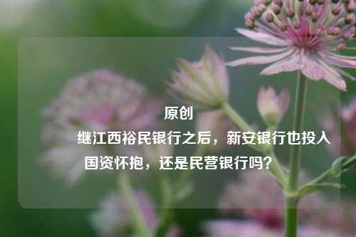 原创 继江西裕民银行之后，新安银行也投入国资怀抱，还是民营银行吗？