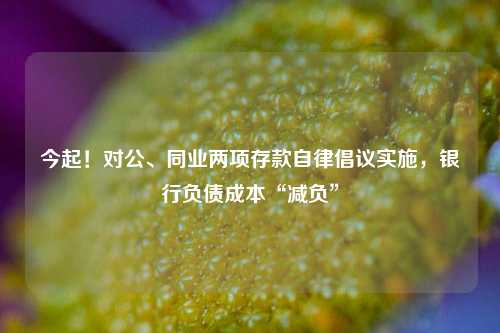 今起！对公、同业两项存款自律倡议实施，银行负债成本“减负”