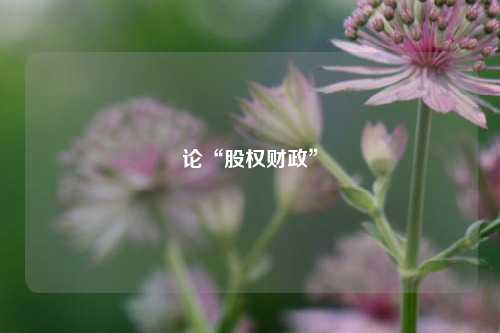 论“股权财政”