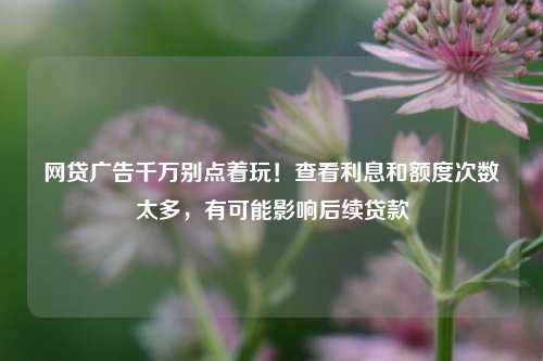 网贷广告千万别点着玩！查看利息和额度次数太多，有可能影响后续贷款