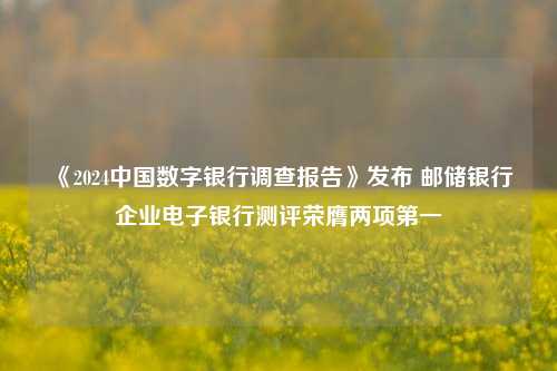 《2024中国数字银行调查报告》发布 邮储银行企业电子银行测评荣膺两项第一