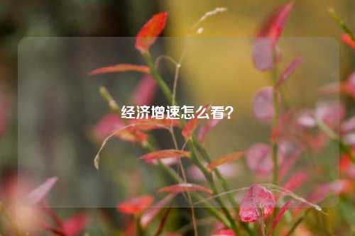 经济增速怎么看？