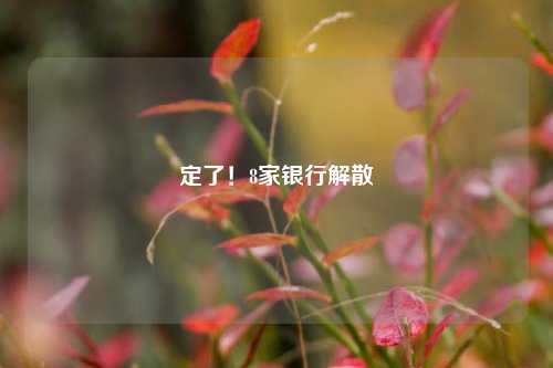 定了！8家银行解散