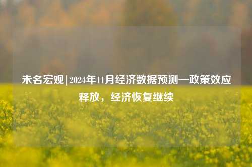 未名宏观|2024年11月经济数据预测—政策效应释放，经济恢复继续