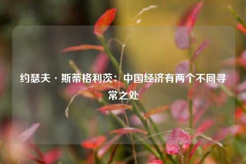 约瑟夫·斯蒂格利茨：中国经济有两个不同寻常之处