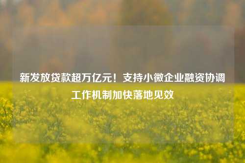 新发放贷款超万亿元！支持小微企业融资协调工作机制加快落地见效