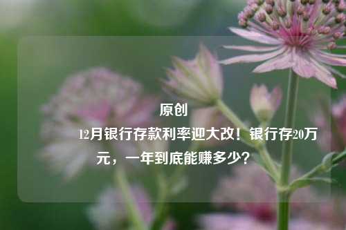 原创 12月银行存款利率迎大改！银行存20万元，一年到底能赚多少？