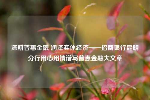 深耕普惠金融 润泽实体经济——招商银行昆明分行用心用情谱写普惠金融大文章