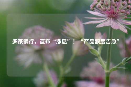 多家银行，宣布“涨息”！“产品额度告急”