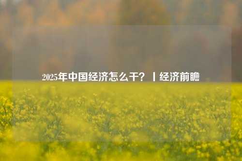 2025年中国经济怎么干？丨经济前瞻