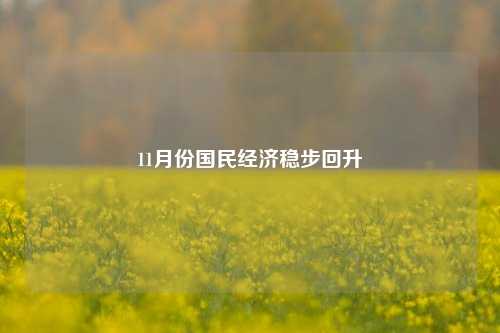 11月份国民经济稳步回升