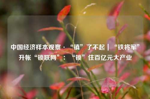 中国经济样本观察·“镇”了不起｜“铁将军”升帐“锁联网”：“锁”住百亿元大产业