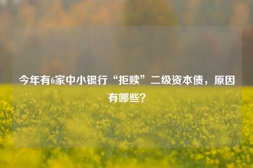 今年有6家中小银行“拒赎”二级资本债，原因有哪些？