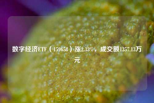 数字经济ETF（159658）涨2.33%，成交额1357.13万元