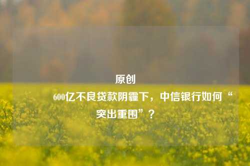 原创 600亿不良贷款阴霾下，中信银行如何“突出重围”？