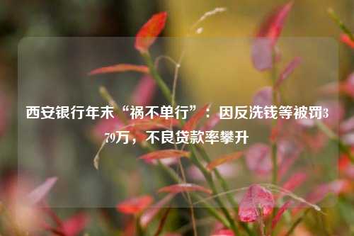 西安银行年末“祸不单行”：因反洗钱等被罚379万，不良贷款率攀升