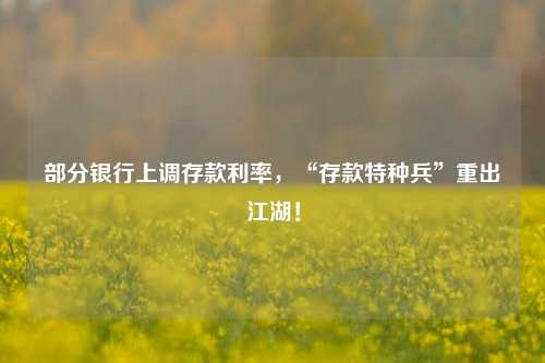 部分银行上调存款利率，“存款特种兵”重出江湖！