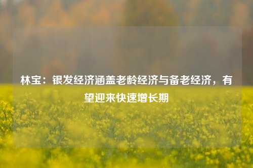 林宝：银发经济涵盖老龄经济与备老经济，有望迎来快速增长期