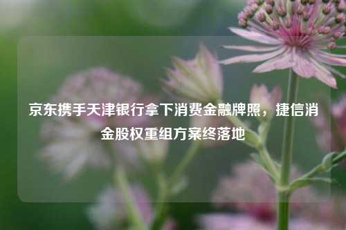 京东携手天津银行拿下消费金融牌照，捷信消金股权重组方案终落地