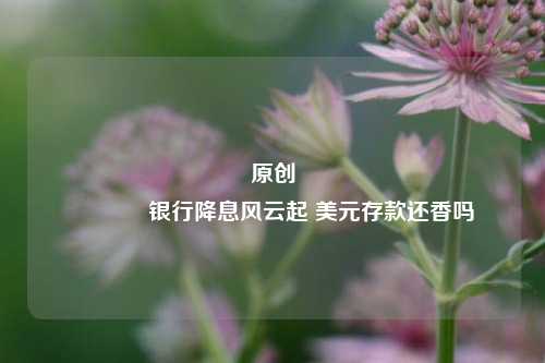 原创 银行降息风云起 美元存款还香吗