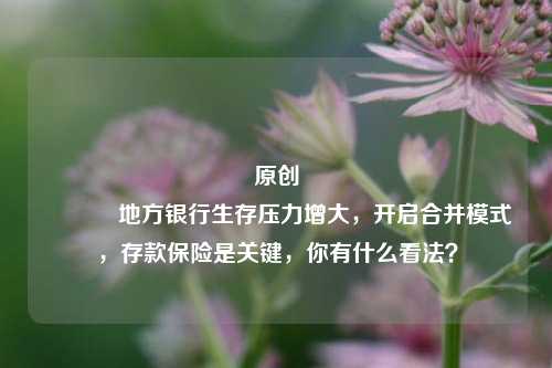 原创 地方银行生存压力增大，开启合并模式，存款保险是关键，你有什么看法？