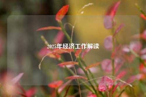 2025年经济工作解读