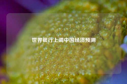 世界银行上调中国经济预测