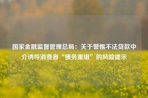 国家金融监督管理总局：关于警惕不法贷款中介诱导消费者“债务重组”的风险提示