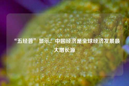 “五经普”显示：中国经济是全球经济发展最大增长源