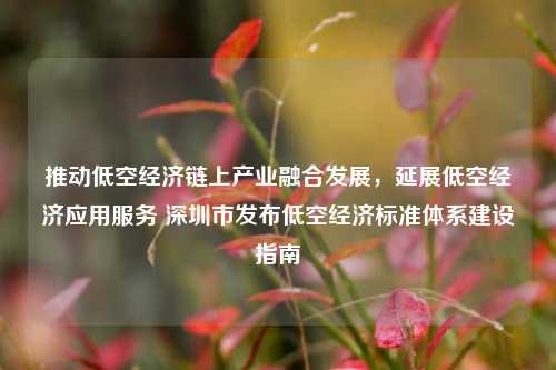 推动低空经济链上产业融合发展，延展低空经济应用服务 深圳市发布低空经济标准体系建设指南