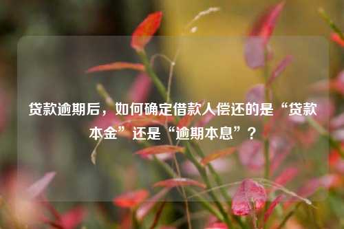 贷款逾期后，如何确定借款人偿还的是“贷款本金”还是“逾期本息”？