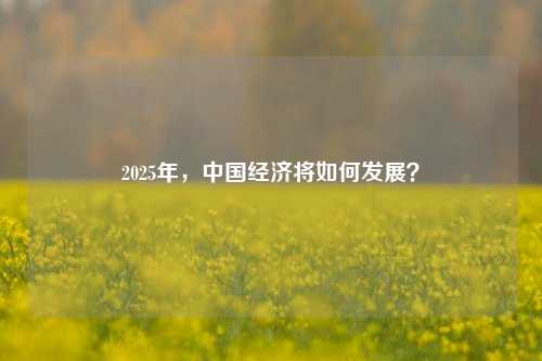 2025年，中国经济将如何发展？