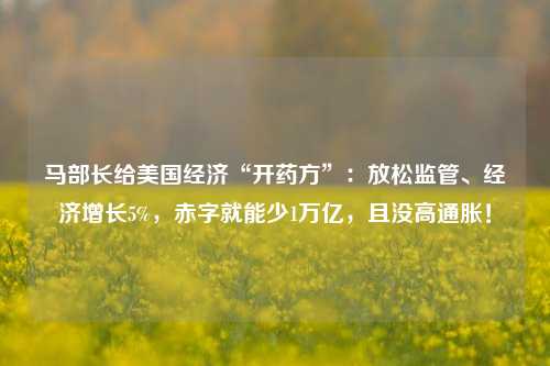 马部长给美国经济“开药方”：放松监管、经济增长5%，赤字就能少1万亿，且没高通胀！