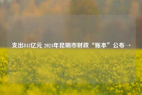 支出843亿元 2024年昆明市财政“账本”公布→
