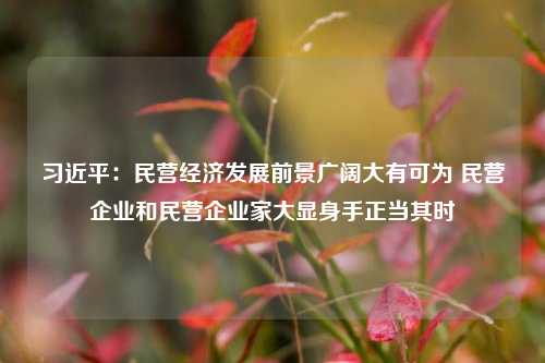 习近平：民营经济发展前景广阔大有可为 民营企业和民营企业家大显身手正当其时