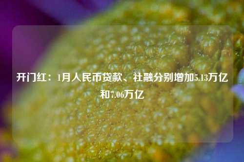 开门红：1月人民币贷款、社融分别增加5.13万亿和7.06万亿
