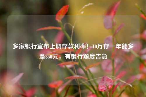 多家银行宣布上调存款利率！10万存一年能多拿350元，有银行额度告急