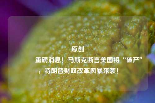 原创 重磅消息！马斯克断言美国将“破产”，特朗普财政改革风暴来袭！