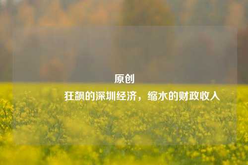 原创 狂飙的深圳经济，缩水的财政收入