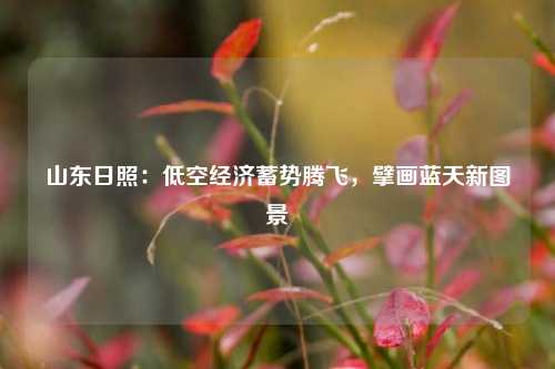 山东日照：低空经济蓄势腾飞，擘画蓝天新图景