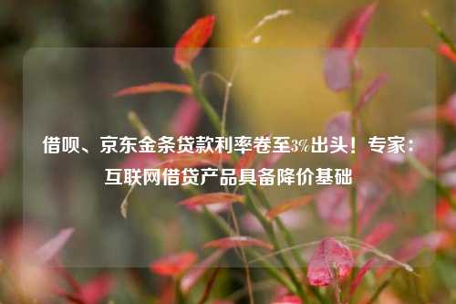 借呗、京东金条贷款利率卷至3%出头！专家：互联网借贷产品具备降价基础
