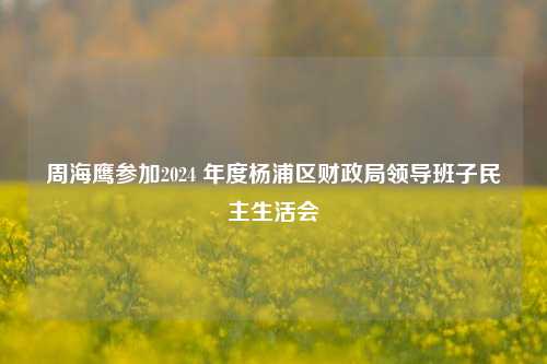 周海鹰参加2024 年度杨浦区财政局领导班子民主生活会
