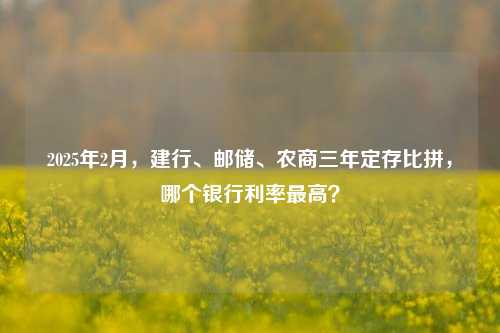 2025年2月，建行、邮储、农商三年定存比拼，哪个银行利率最高？