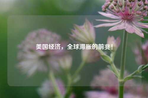 美国经济，全球滞胀的前兆！